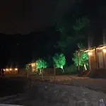 Tiny Mini House *