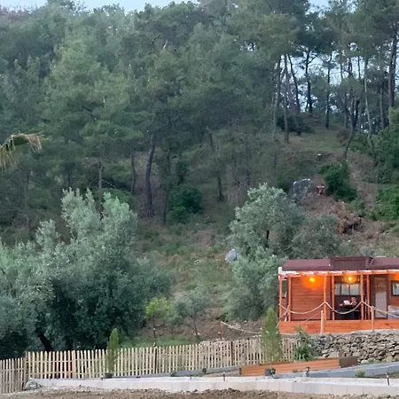 Tiny Mini House Dalaman