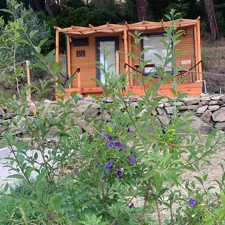 Tiny Mini House *