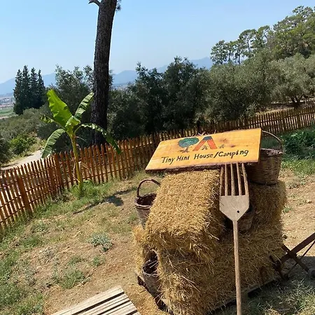 Tiny Mini House *