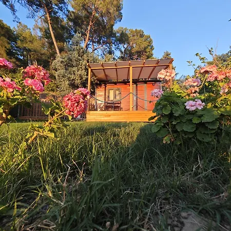 Campsite Tiny Mini House