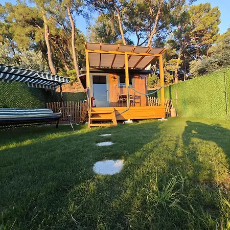 Campsite Tiny Mini House *