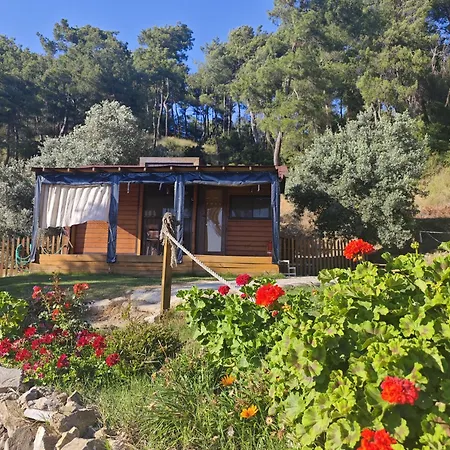 Campsite Tiny Mini House Dalaman