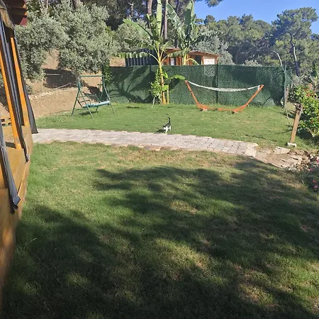 Tiny Mini House Camping