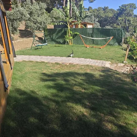 Tiny Mini House Campsite