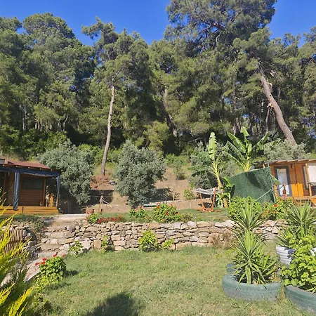 Campsite Tiny Mini House Dalaman