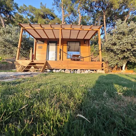 Campsite Tiny Mini House Dalaman