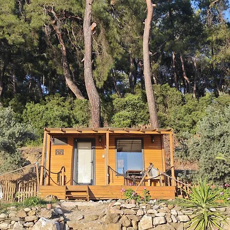 Tiny Mini House *