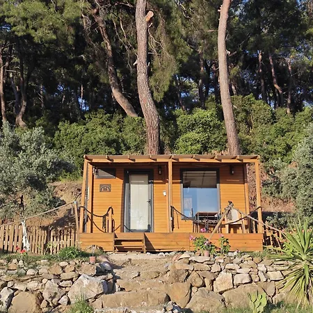 Tiny Mini House Campsite