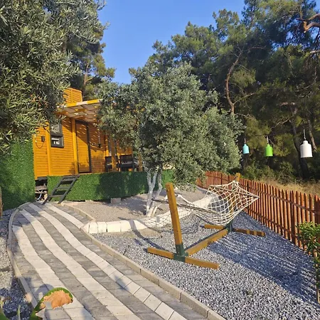 Campsite Tiny Mini House