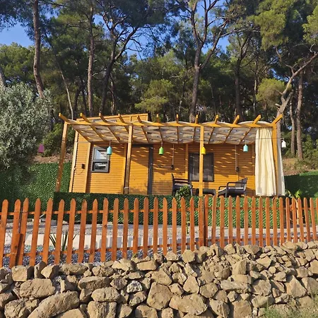 Campsite Tiny Mini House *