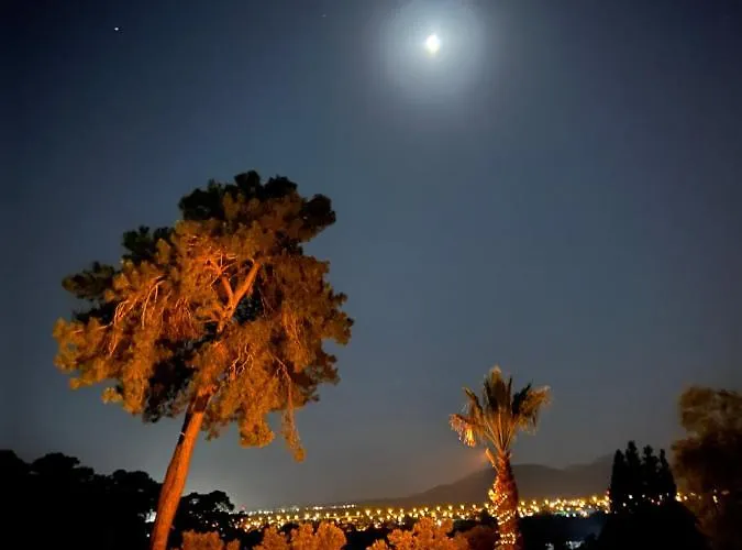 캠프장 Tiny Mini House