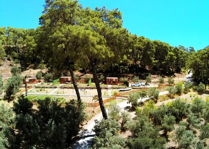 Tiny Mini House * 달라만