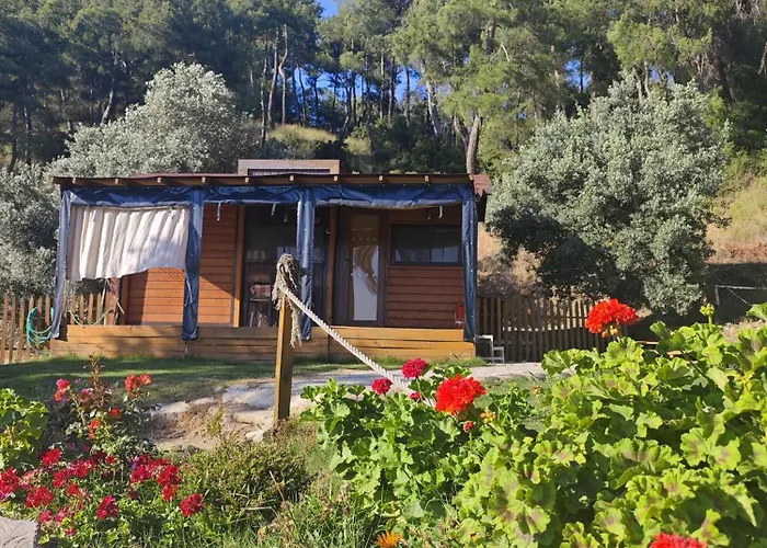 אתר קמפינג Tiny Mini House דלמן