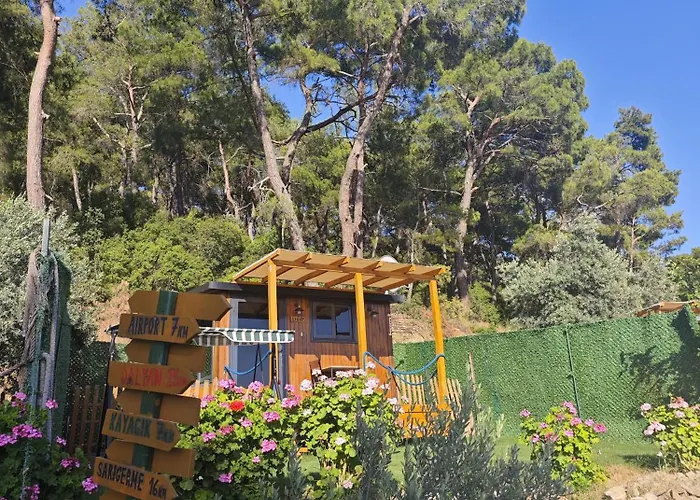 Tiny Mini House אתר קמפינג דלמן