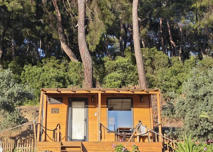 Tiny Mini House *