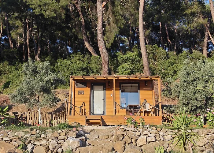 Tiny Mini House 캠프장