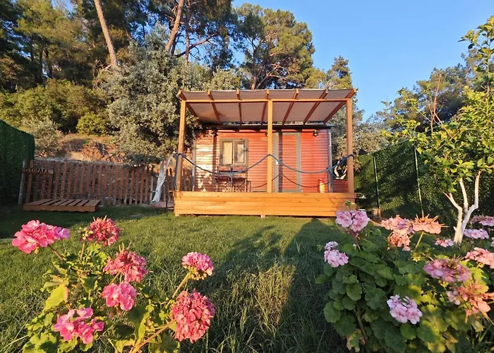 Tiny Mini House 달라만