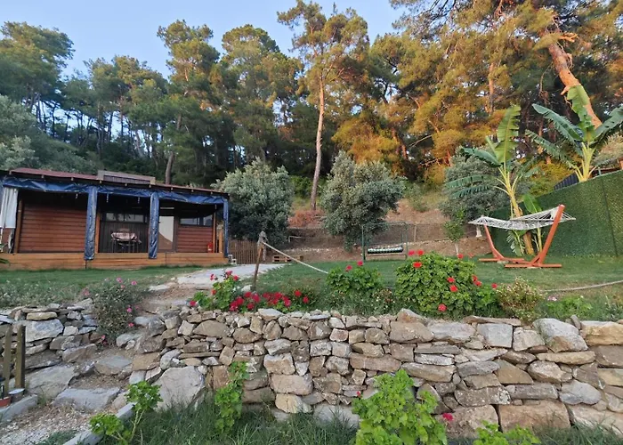 Tiny Mini House אתר קמפינג דלמן
