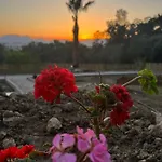 Tiny Mini House Dalaman