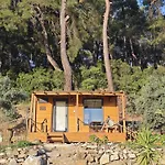 Tiny Mini House *
