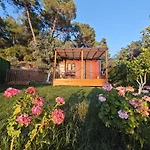 Tiny Mini House Dalaman
