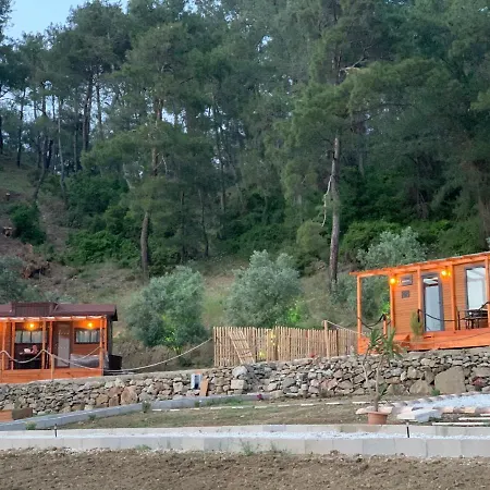 Campingplatz Tiny Mini House